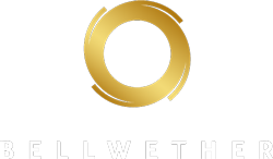 bellwethermarketing.com logo